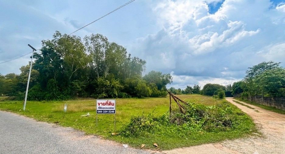 For sale land in Phanat Nikhom, Chonburi