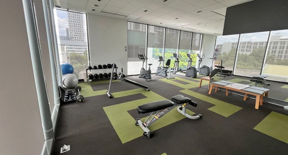 For rent 1 bed condo 