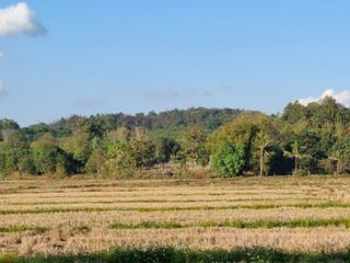 Grundstück zum Kauf in Wiang Chai, Chiang Rai