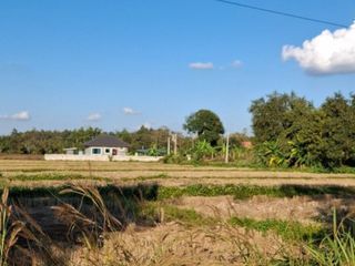Grundstück zum Kauf in Wiang Chai, Chiang Rai