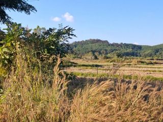 Grundstück zum Kauf in Wiang Chai, Chiang Rai