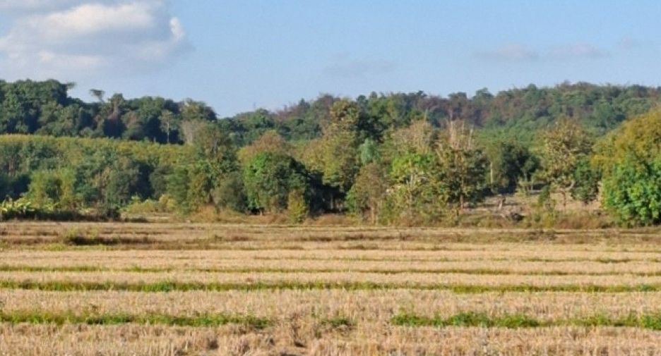 Grundstück zum Kauf in Wiang Chai, Chiang Rai