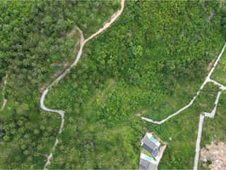 For sale land in Ko Samui, Surat Thani