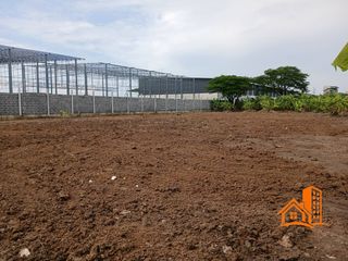 For sale land in Lam Luk Ka, Pathum Thani