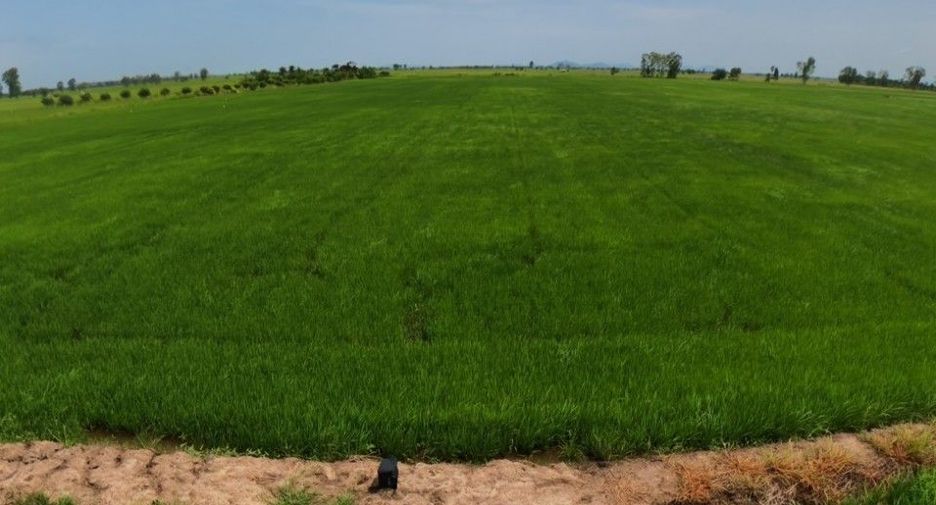 For sale land in In Buri, Sing Buri