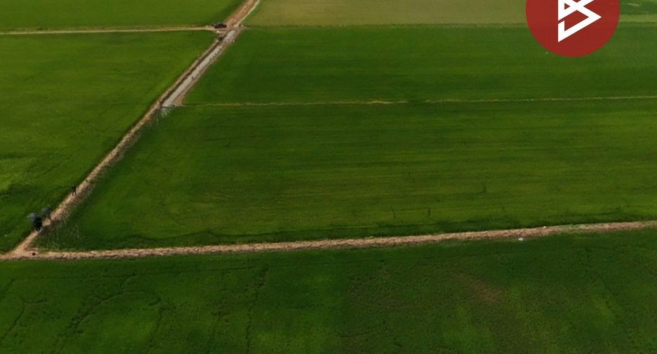 For sale land in In Buri, Sing Buri