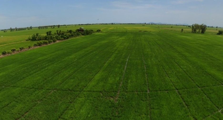 For sale land in In Buri, Sing Buri