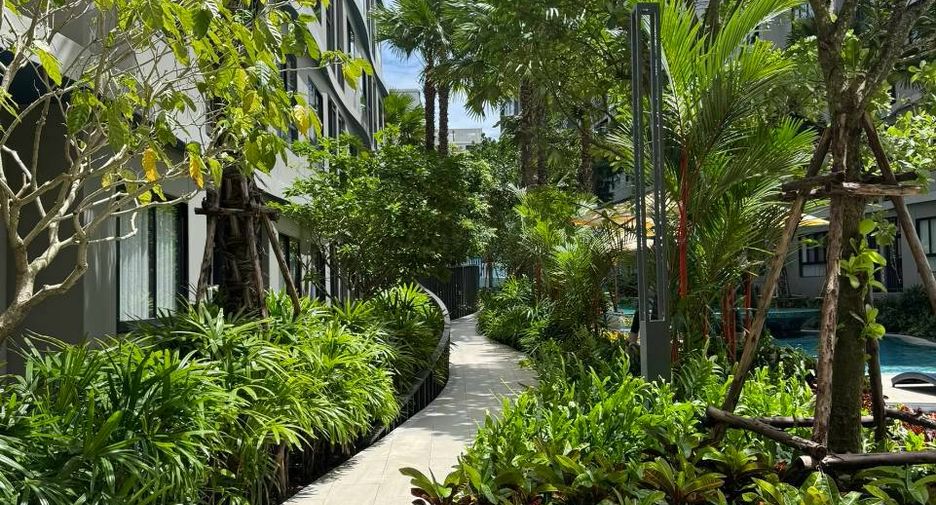 For rent 1 bed condo in Kathu, Phuket