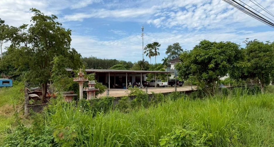 Grundstück zum Kauf in Phunphin, Surat Thani