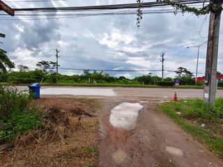 Grundstück zum Kauf in Phunphin, Surat Thani