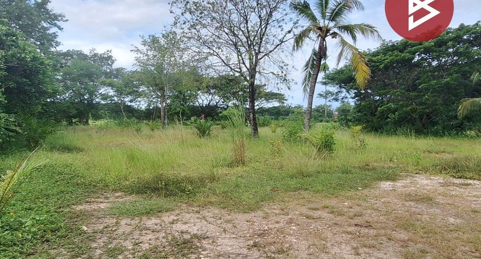 出售 土地 在 Mueang Nakhon Si Thammarat, Nakhon Si Thammarat
