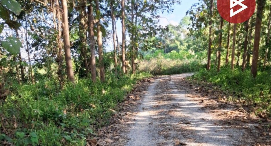 À vendre terrain à Mae Lao, Chiang Rai