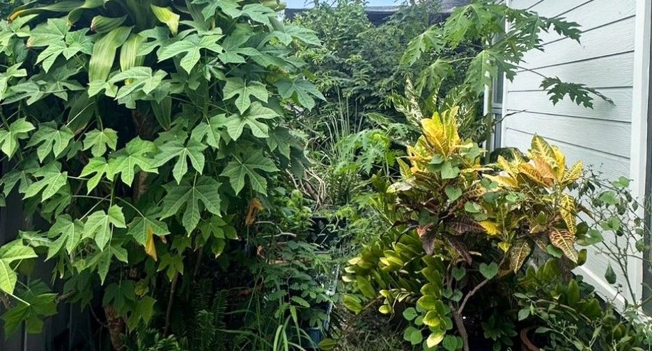 For sale 3 bedrooms house in Phan Thong, Chonburi