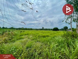 出售 土地 在 Kut Rang, Maha Sarakham