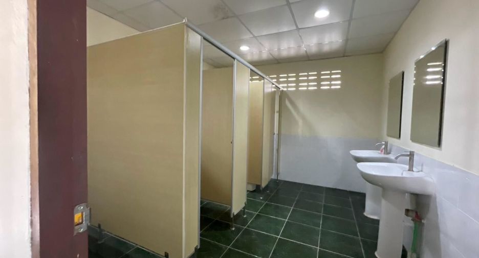 For rent そして for sale land in Nong Chok, Bangkok