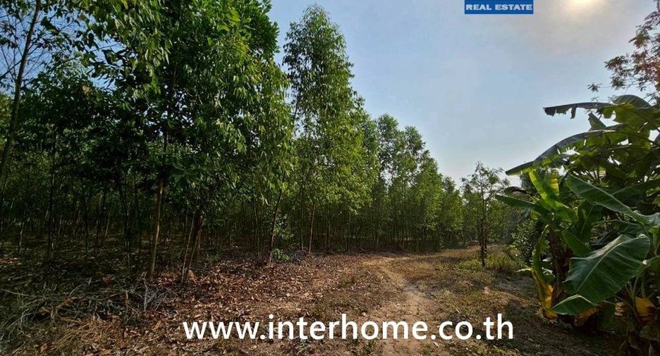 For sale land in Mueang Sa Kaeo, Sa Kaeo