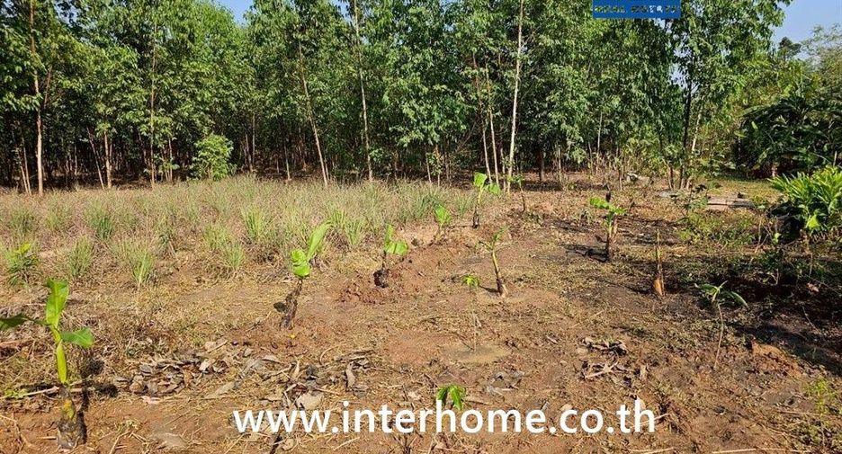 For sale land in Mueang Sa Kaeo, Sa Kaeo