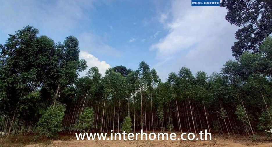 For sale land in Mueang Sa Kaeo, Sa Kaeo