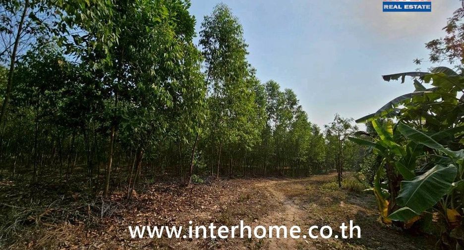For sale land in Mueang Sa Kaeo, Sa Kaeo