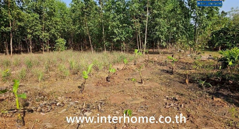 For sale land in Mueang Sa Kaeo, Sa Kaeo
