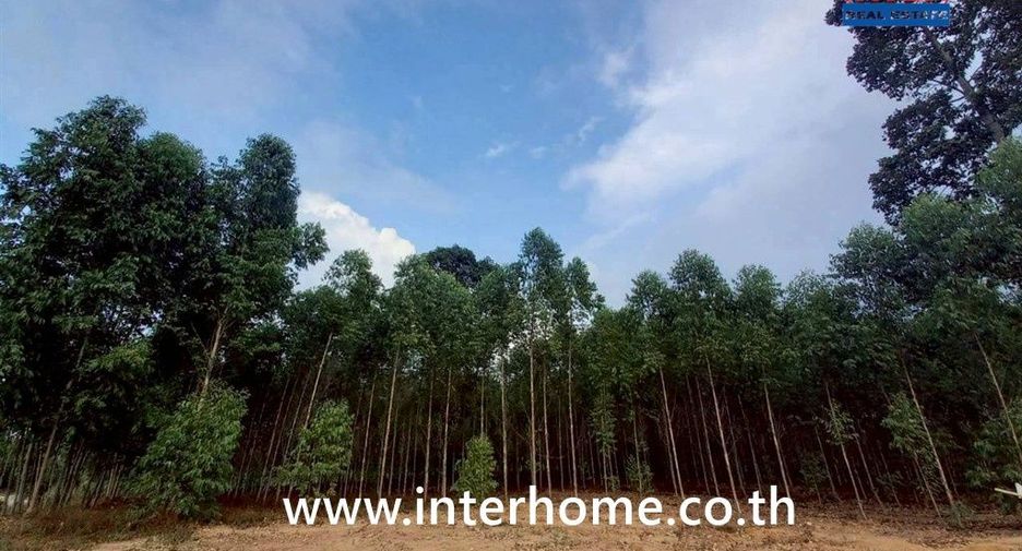 For sale land in Mueang Sa Kaeo, Sa Kaeo