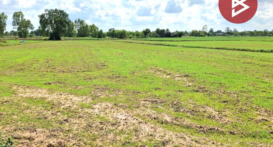 For sale land in Thawat Buri, Roi Et