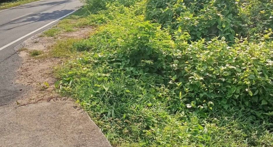 For sale land in Mueang Samut Prakan, Samut Prakan