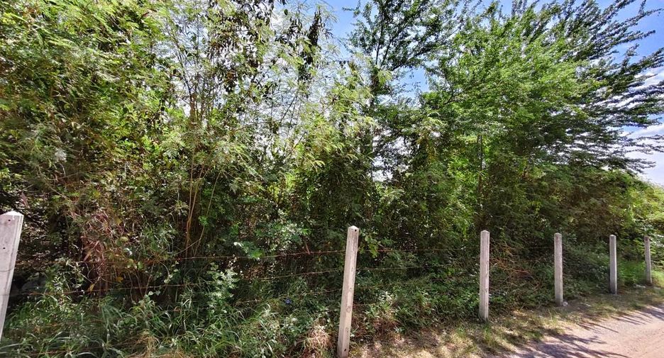 For sale land in Ban Pong, Ratchaburi