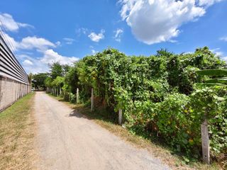 For sale land in Ban Pong, Ratchaburi