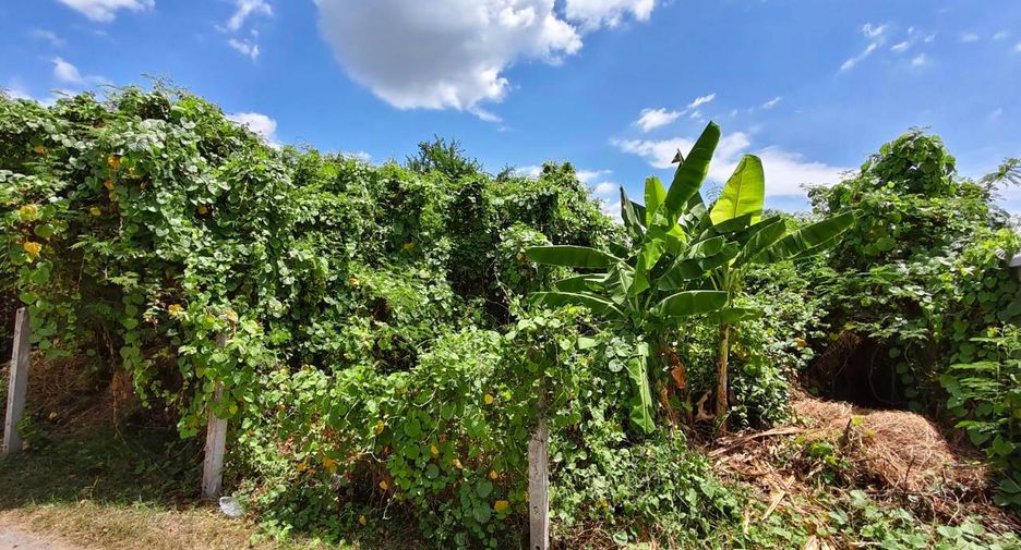 For sale land in Ban Pong, Ratchaburi