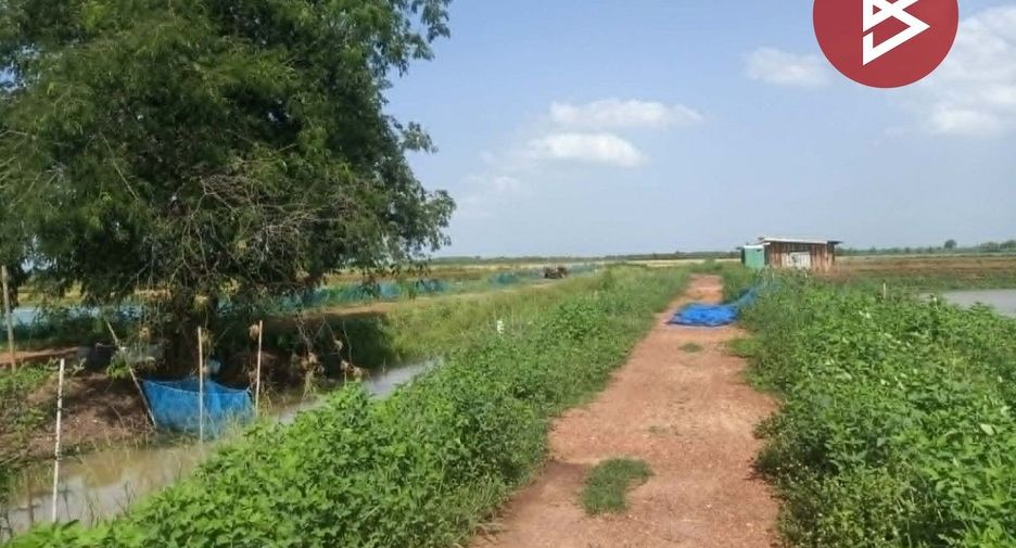 Grundstück zum Kauf in Pak Phli, Nakhon Nayok