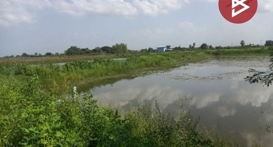Grundstück zum Kauf in Pak Phli, Nakhon Nayok