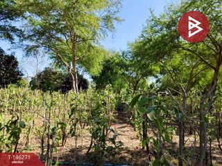 For sale land in Ban Mo, Saraburi