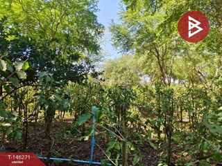 For sale land in Ban Mo, Saraburi