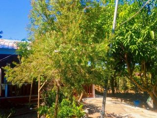 For sale land in Ban Mo, Saraburi