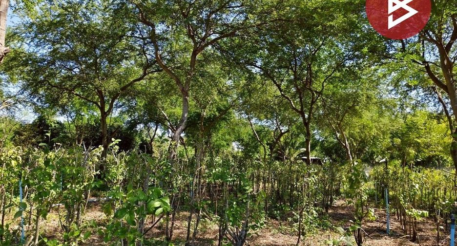 For sale land in Ban Mo, Saraburi