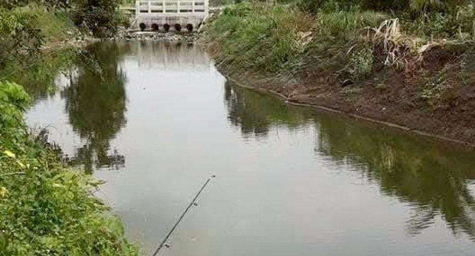For sale land in Ban Mo, Saraburi