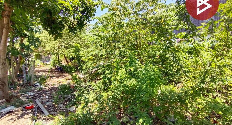出售 土地 在 Mueang Chachoengsao, Chachoengsao