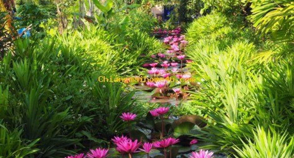 For rent 2 bedrooms house in Saraphi, Chiang Mai
