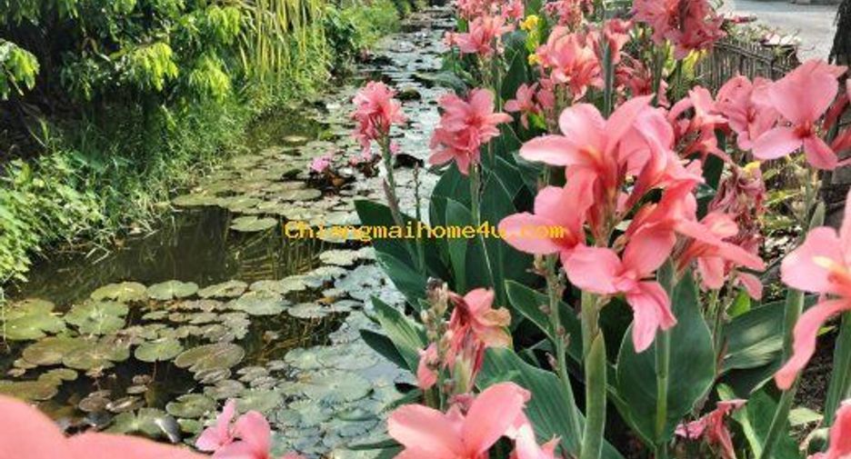 For rent 2 bedrooms house in Saraphi, Chiang Mai