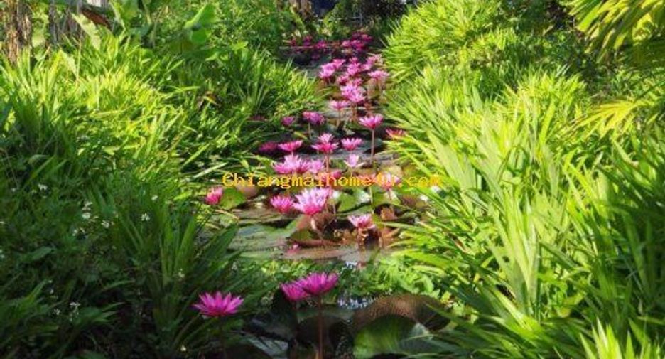 For rent 1 bed house in Saraphi, Chiang Mai