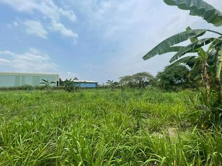 出售 土地 在 Si Racha, Chon Buri