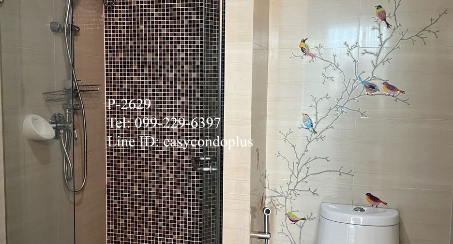 For rent 1 bed condo in Bang Na, Bangkok