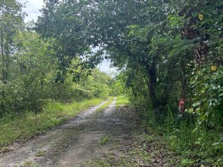 For sale land in Mae Rim, Chiang Mai