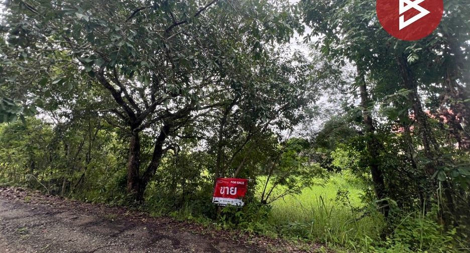 For sale land in Mae Rim, Chiang Mai