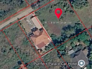 For sale land in Mae Rim, Chiang Mai