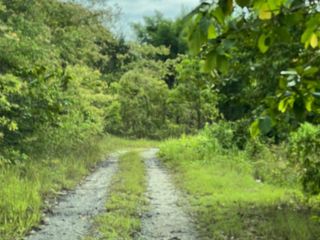 For sale land in Mae Rim, Chiang Mai
