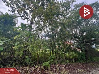 For sale land in Mae Rim, Chiang Mai
