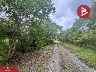 For sale land in Mae Rim, Chiang Mai