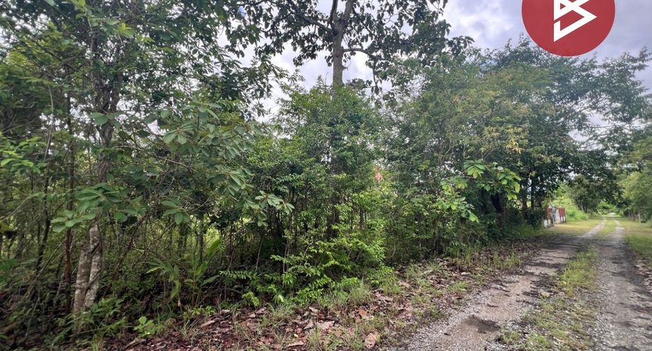 For sale land in Mae Rim, Chiang Mai